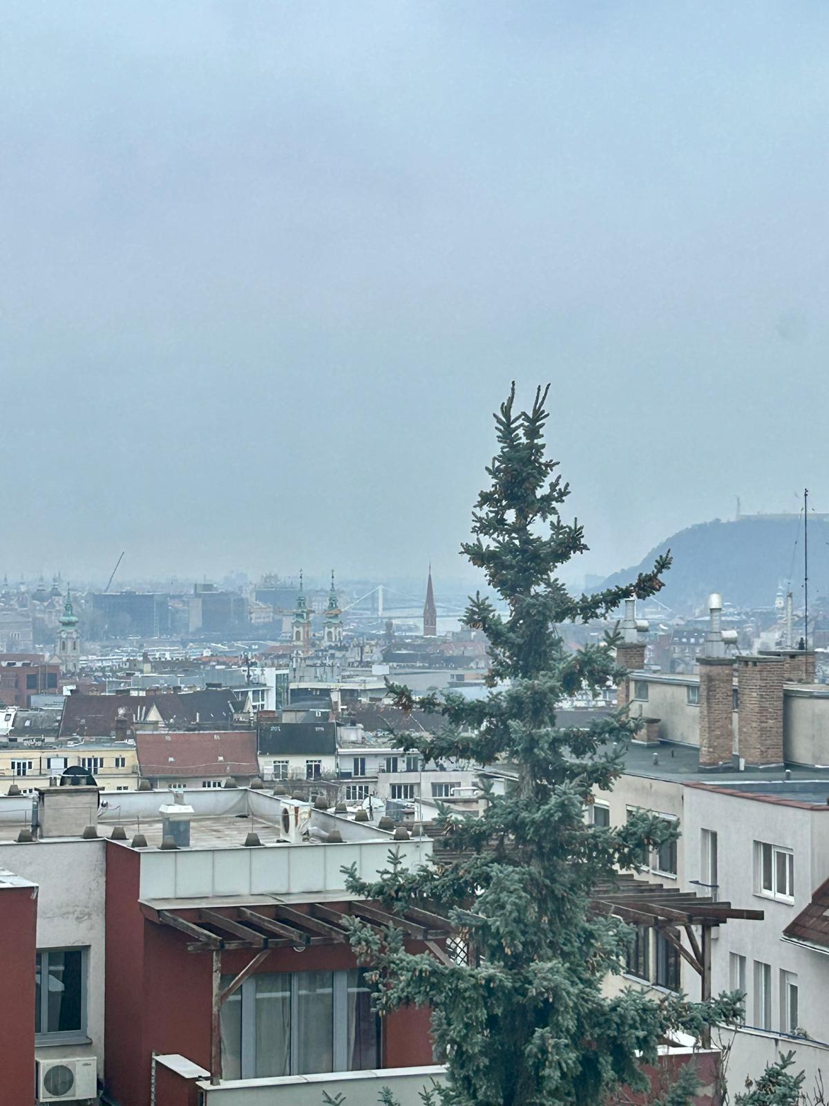 Second newsletter – Metropolitan Research Institute (5 March, 2026)